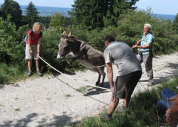 Gretl springt &uuml;ber Seil